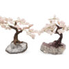 Rose Quartz Bonzai Tree (M) - Crystal Dreams