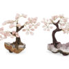 Rose Quartz Bonzai Tree (M) - Crystal Dreams