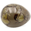 Septarian Polished Egg- Crystal Dreams