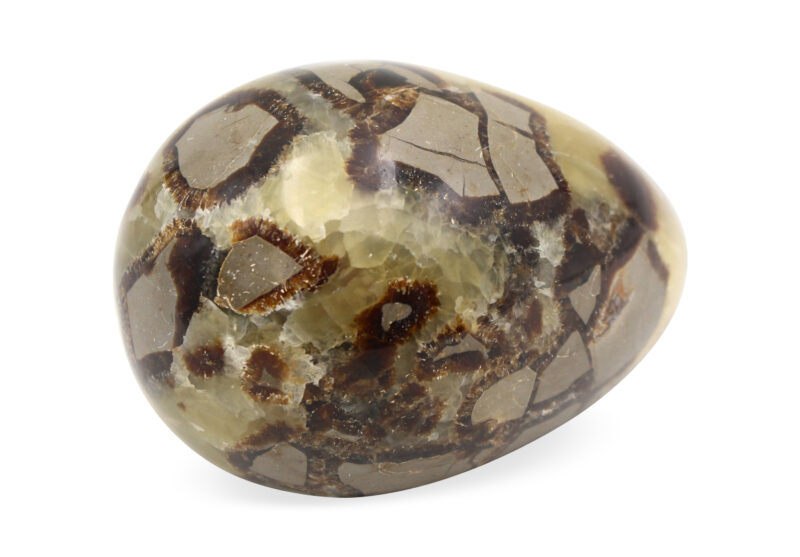 Septarian Polished Egg- Crystal Dreams