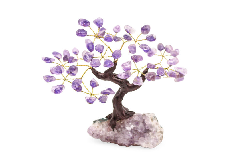 Amethyst Bonsai Tree (M)