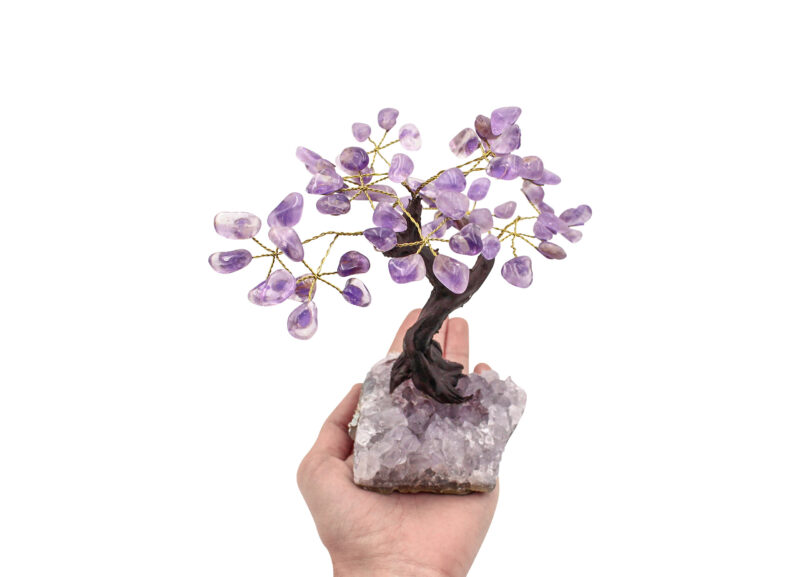 Amethyst Bonsai Tree (M)