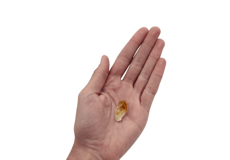 Citrine Rough Point Tooth