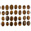 Tiger Eye Cabochon - Crystal Dreams