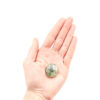Prehnite Tumbled - Crystal Dreams