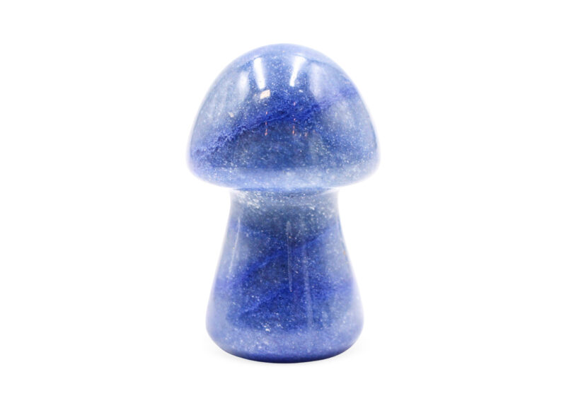 Blue Aventurine Mushroom (M) - Crystal Dreams