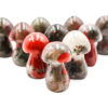 African Bloodstone Mushroom (S) - Crystal Dreams