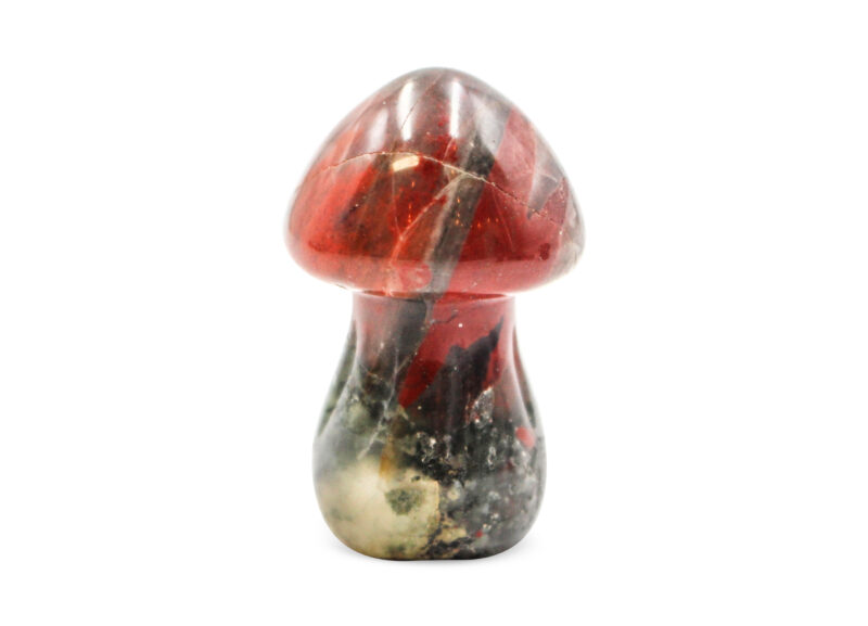 African Bloodstone Mushroom (S) - Crystal Dreams