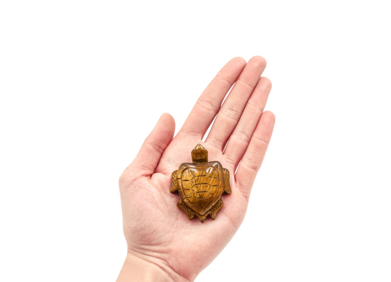 Tiger Eye Turtle