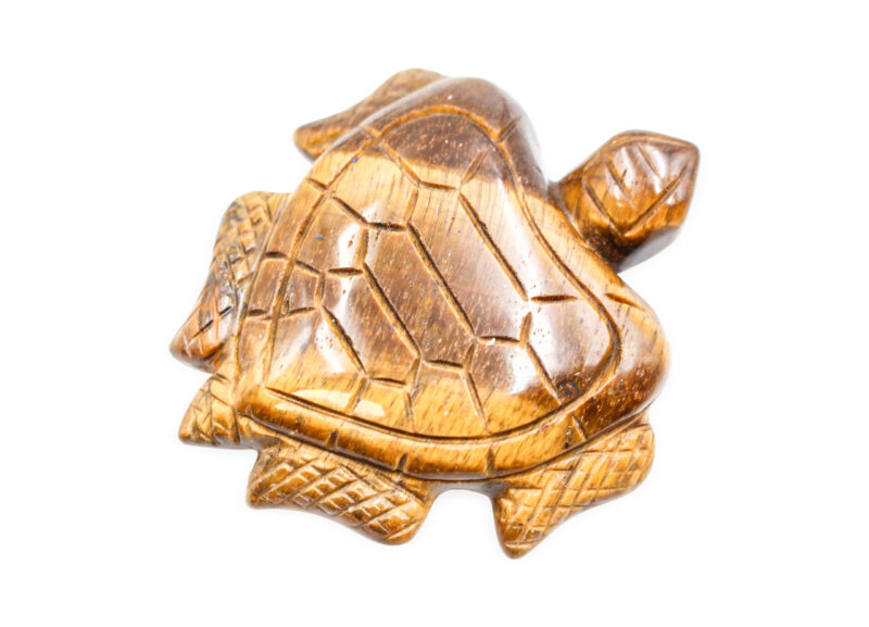 Tiger Eye Turtle - Crystal Dreams