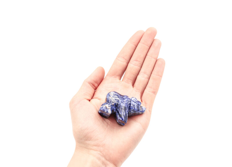 Ours en sodalite