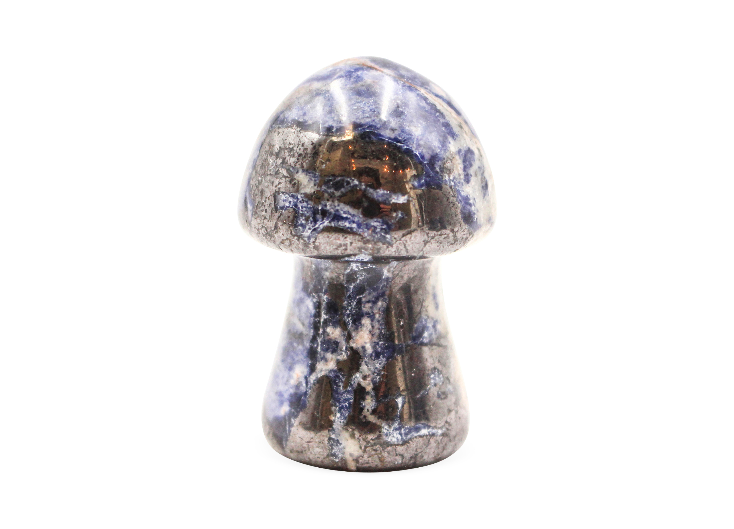 Sodalite Mushroom (M) - Crystal Dreams
