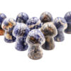 Sodalite Mushroom (M) - Crystal Dreams