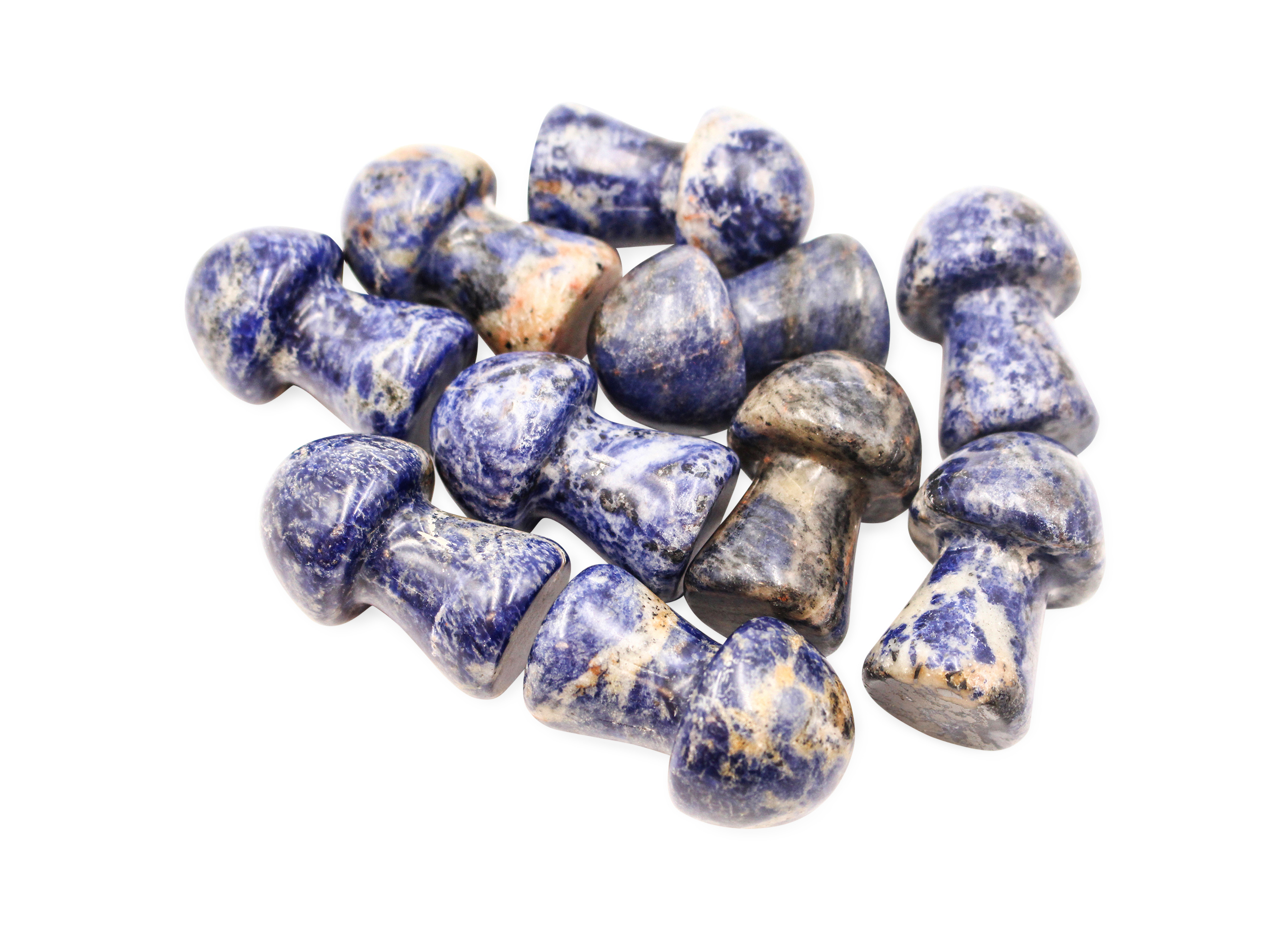 Sodalite Mushroom (M) - Crystal Dreams