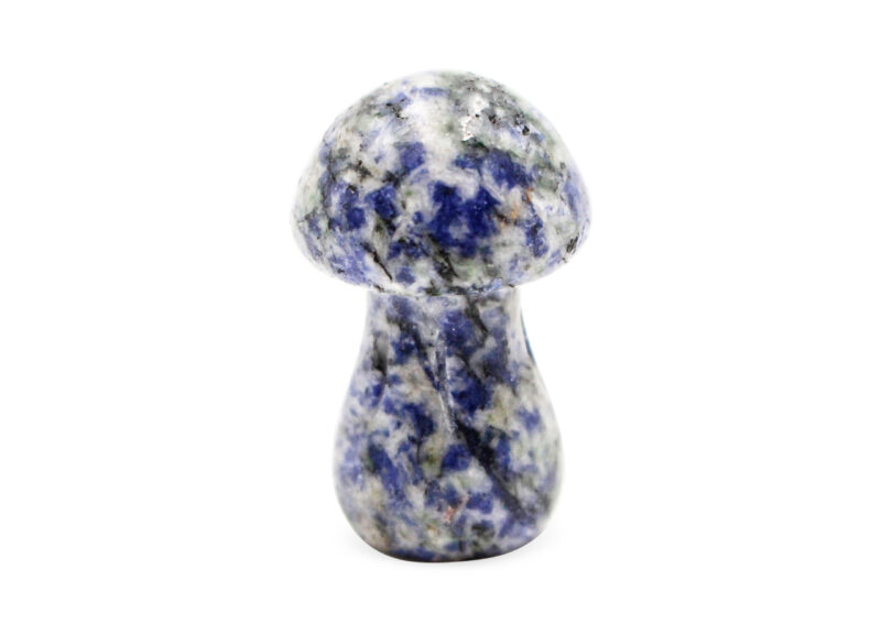 Sodalite Mushroom (S) - Crystal Dreams