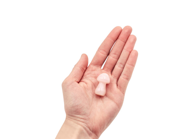 Rose Quartz Mushroom (S)