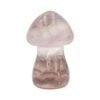 Fluorite Mushroom (S) - Crystal Dreams