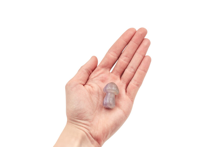 Rainbow Fluorite Mushroom (S)