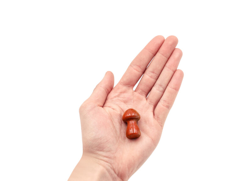 Champignon en jaspe rouge (S)