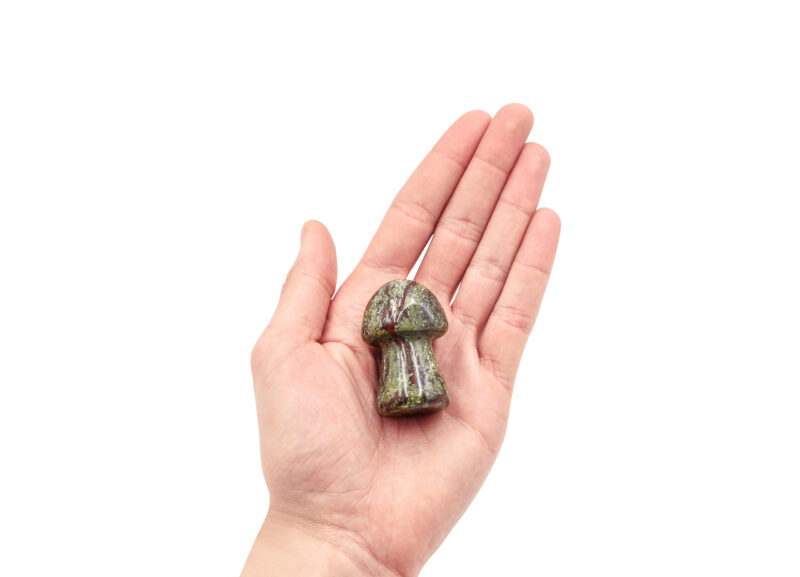 Dragon Bloodstone Mushroom (M)