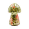 Unakite Mushroom - Crystal Dreams