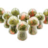 Unakite Mushroom - Crystal Dreams