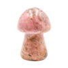 Rhodonite Mushroom - Crystal Dreams