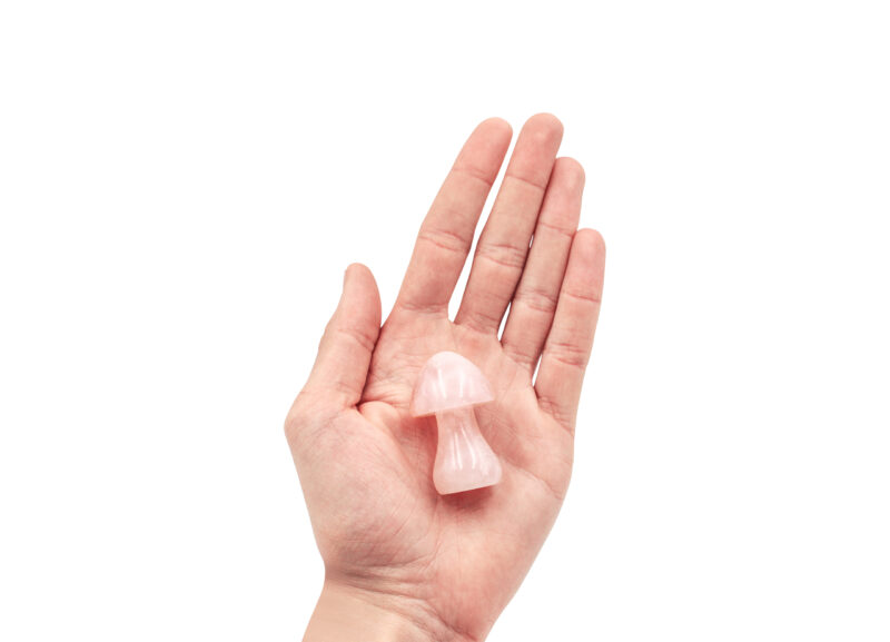 Rose Quartz Mushroom (M)