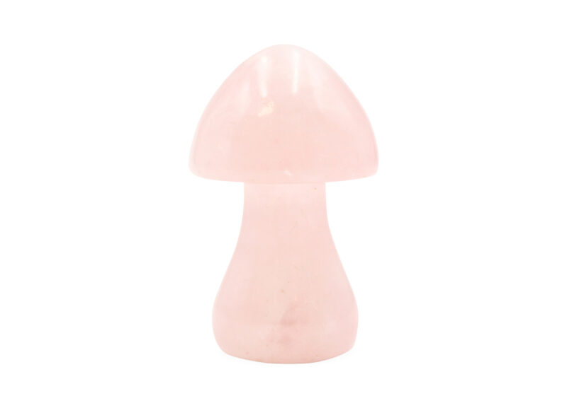 Rose Quartz Mushroom- Crystal Dreams