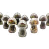 Dragon Bloodstone Mushroom - Crystal Dreams