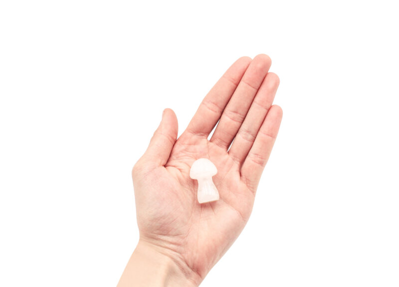 Clear Quartz Mushroom (S)