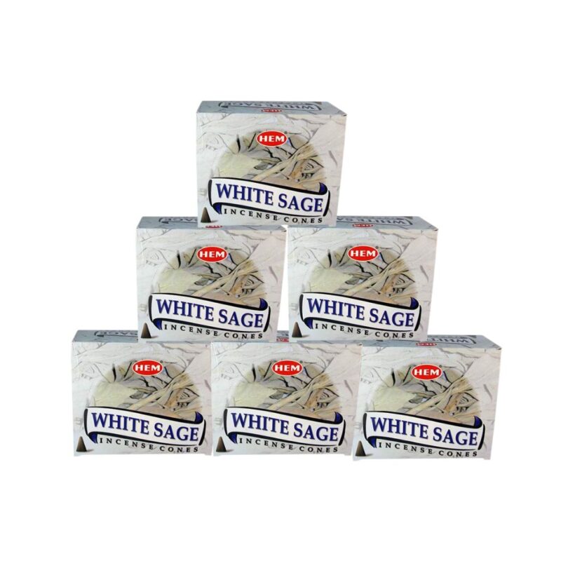 HEM Incense Cones – White Sage