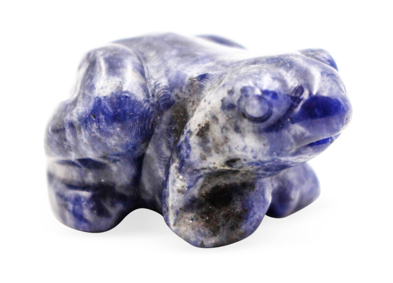 Sodalite frog-Crystal Dreams