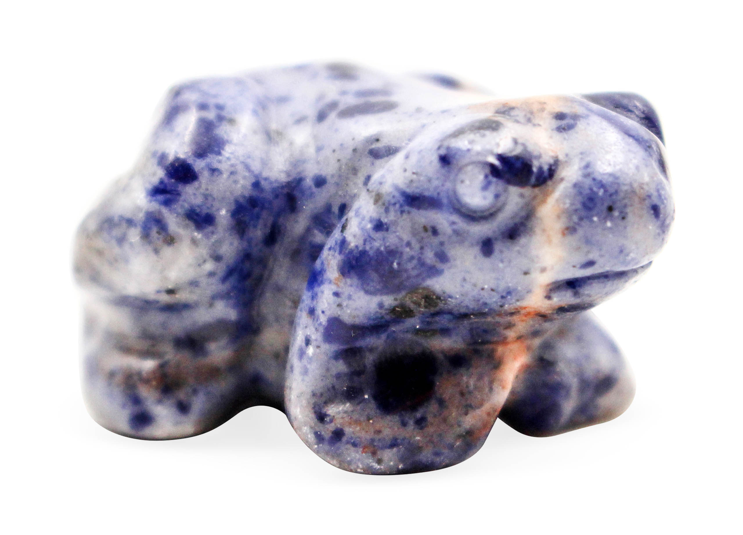Sodalite Frog - Crystal Dreams