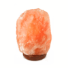 Himalayan Salt Lamp - Crystal Dreams