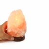Himalayan Salt Lamp - Crystal Dreams