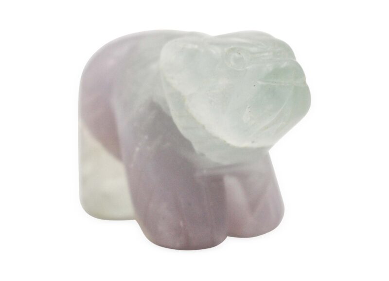 Rainbow Fluorite Bear - Crystal Dreams