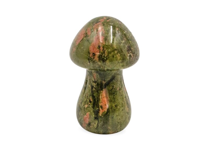 Mini Unakite Mushroom- Crystal Dreams
