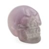 SKL-030-Mini-Fluorite-Skull-_-crane-S-6