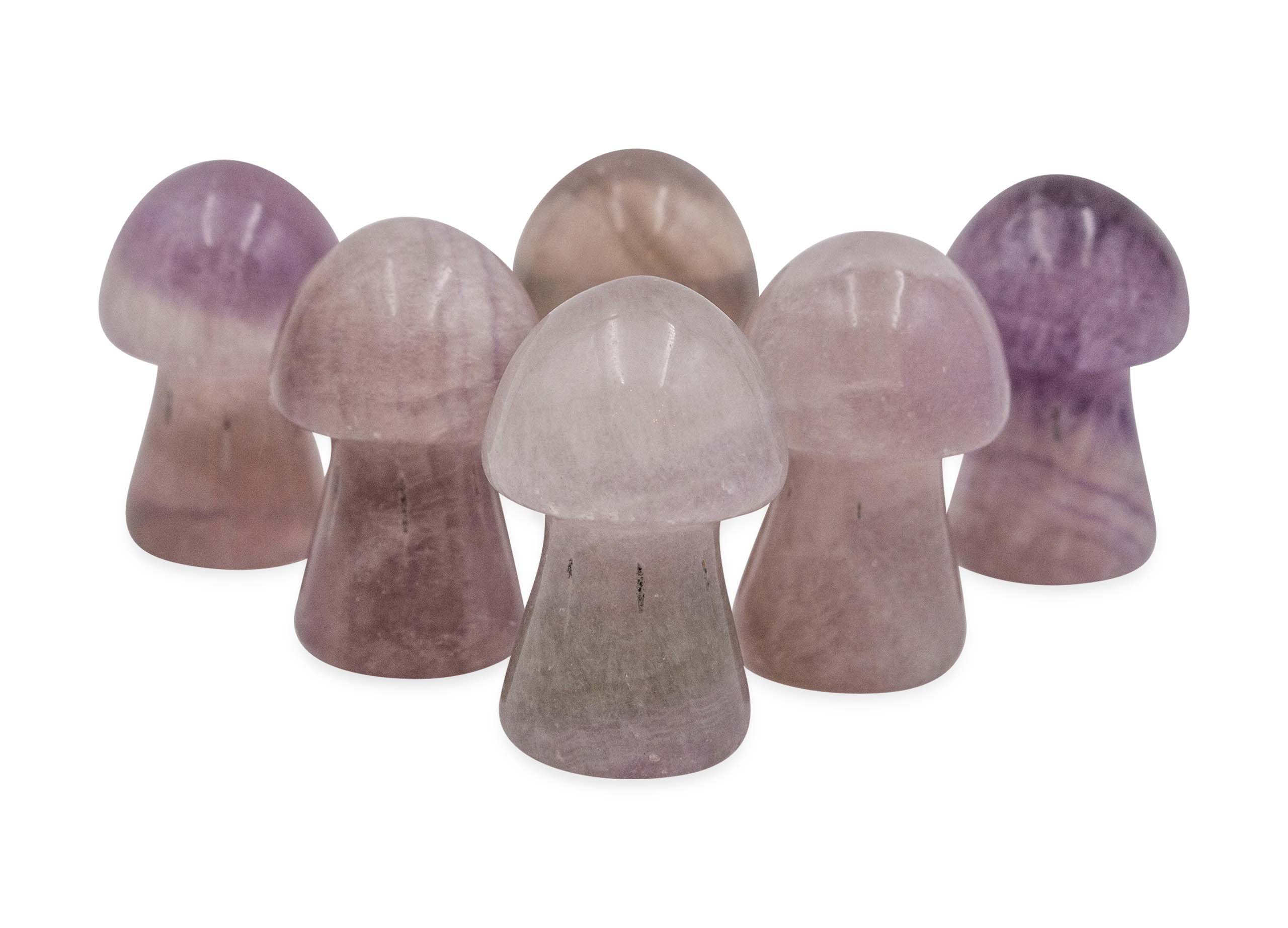 Rainbow Fluorite Mushroom (M) - Crystal Dreams