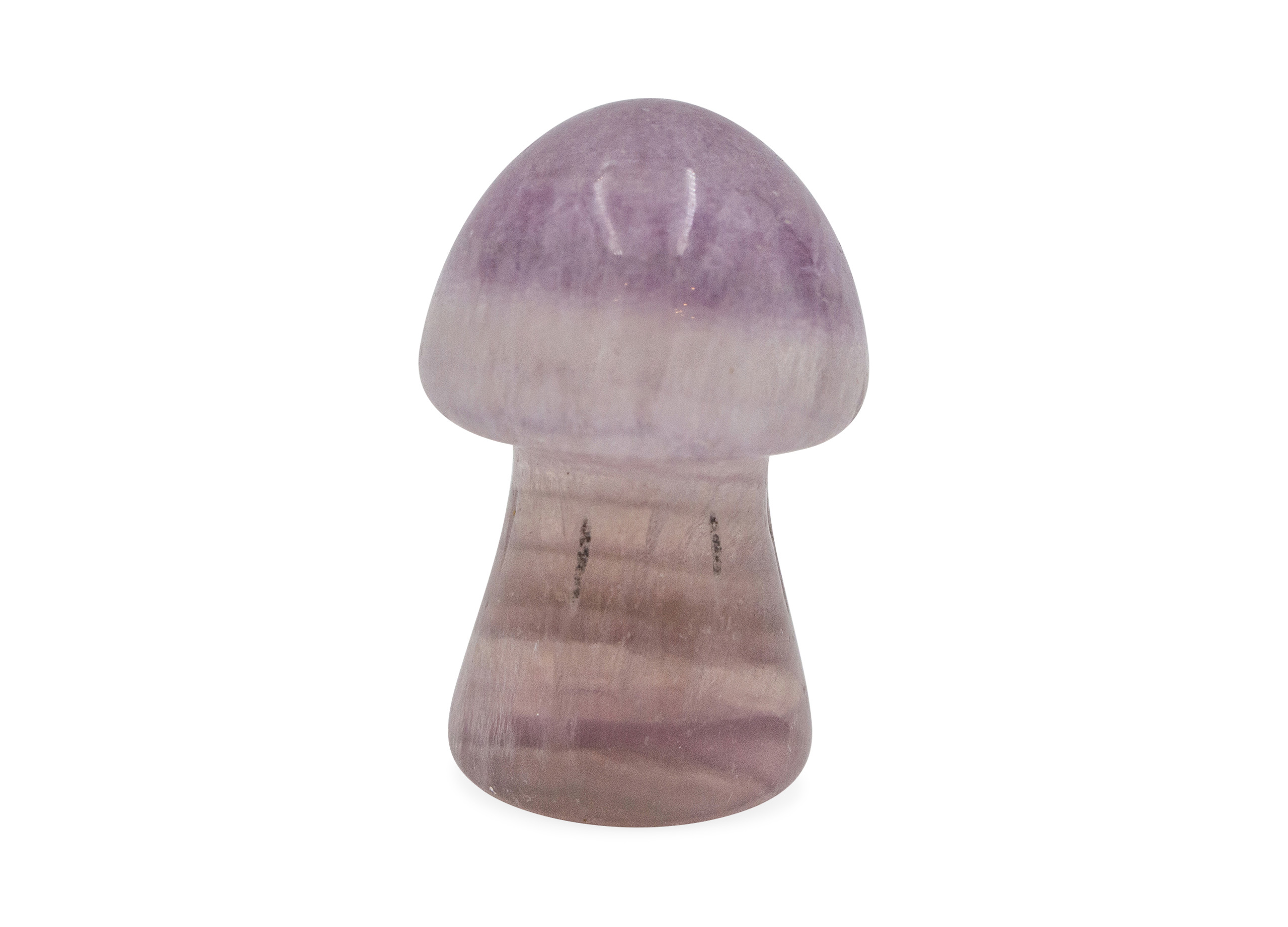 Rainbow Fluorite Mushroom (M) - Crystal Dreams