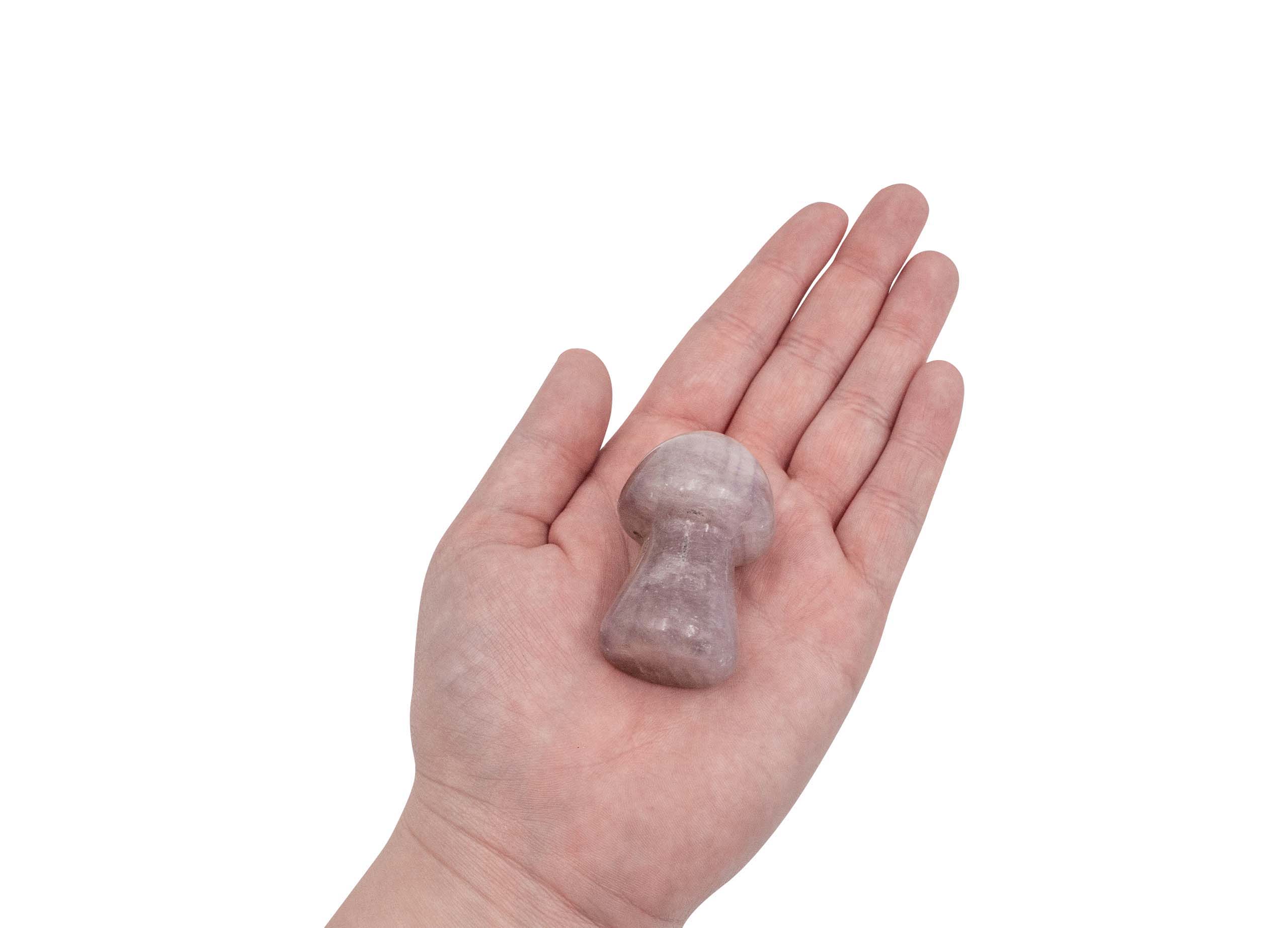 Rainbow Fluorite Mushroom (M) - Crystal Dreams