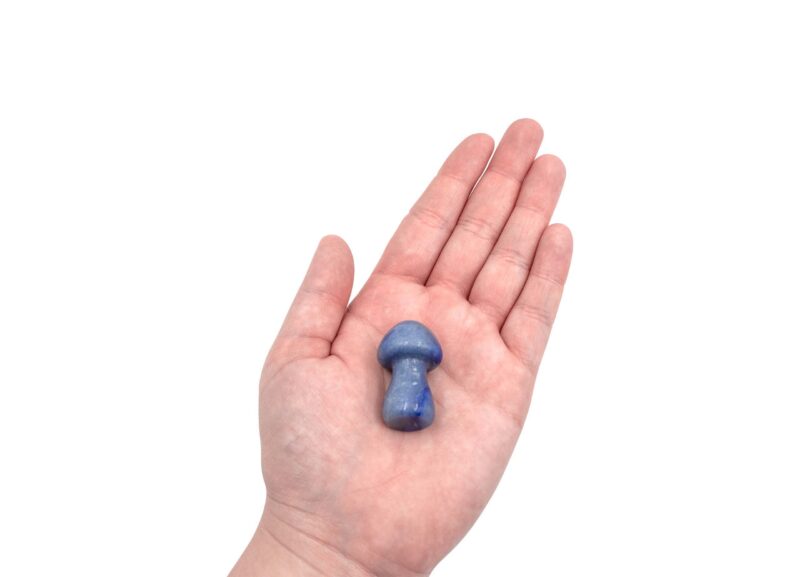 Blue Aventurine Mushroom (S)