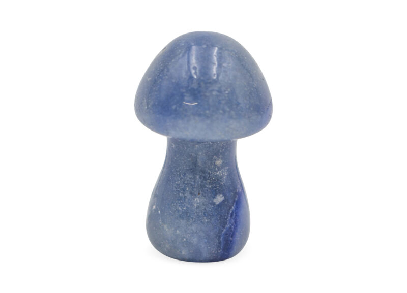 Blue Aventurine Mushroom (S) - Crystal Dreams