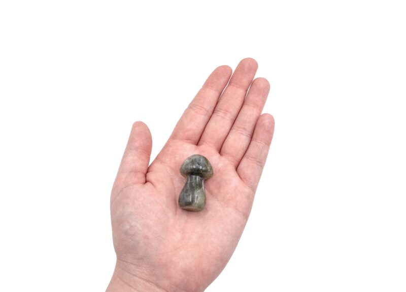 Labradorite Mushroom (S)