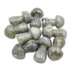 Labradorite Mushroom (S) - Crystal Dreams