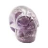 Mini Amethyst skull - Crystal Dreams