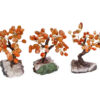 Carnelian Bonsai Tree - Crystal Dreams