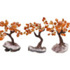 Carnelian Bonsai Tree - Crystal Dreams