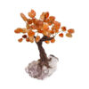 Carnelian Bonsai Tree - Crystal Dreams